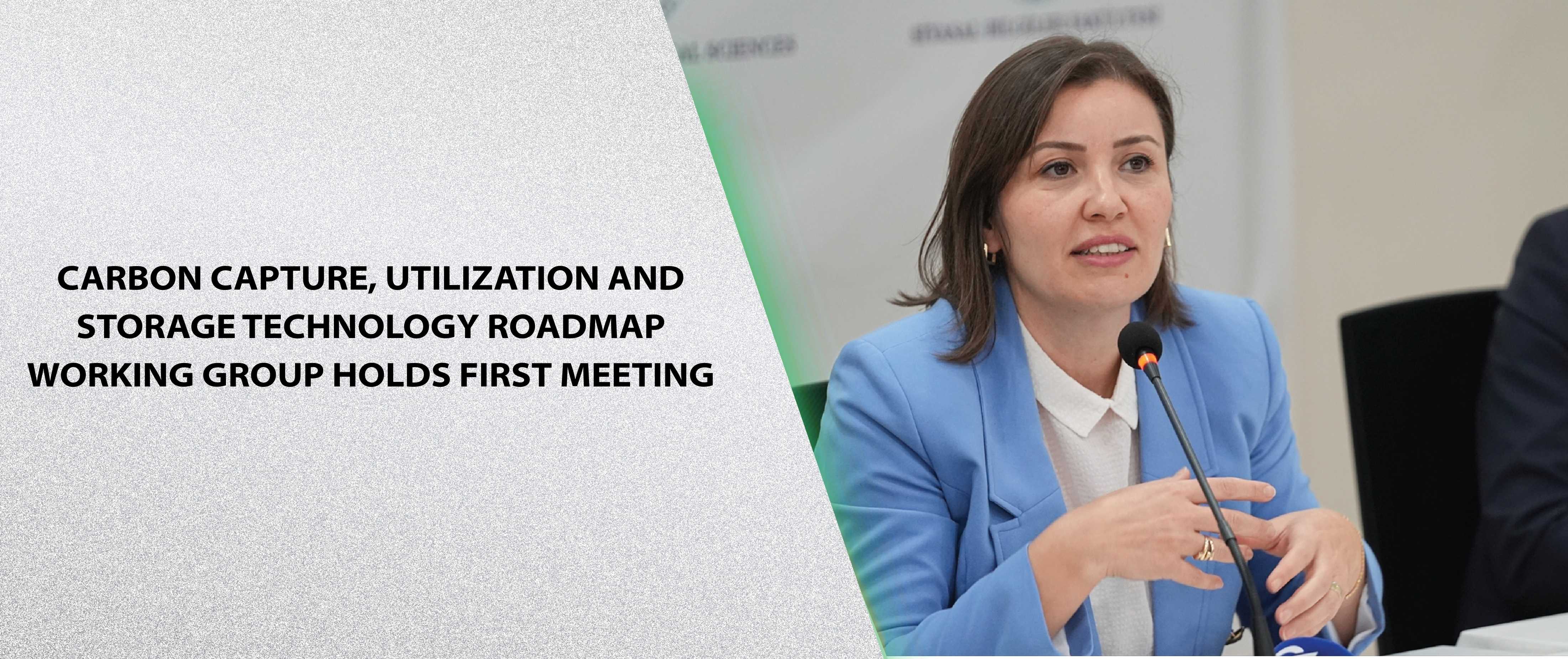 Carbon Capture, Utilization and Storage Technology Roadmap Working Group Holds First Meeting