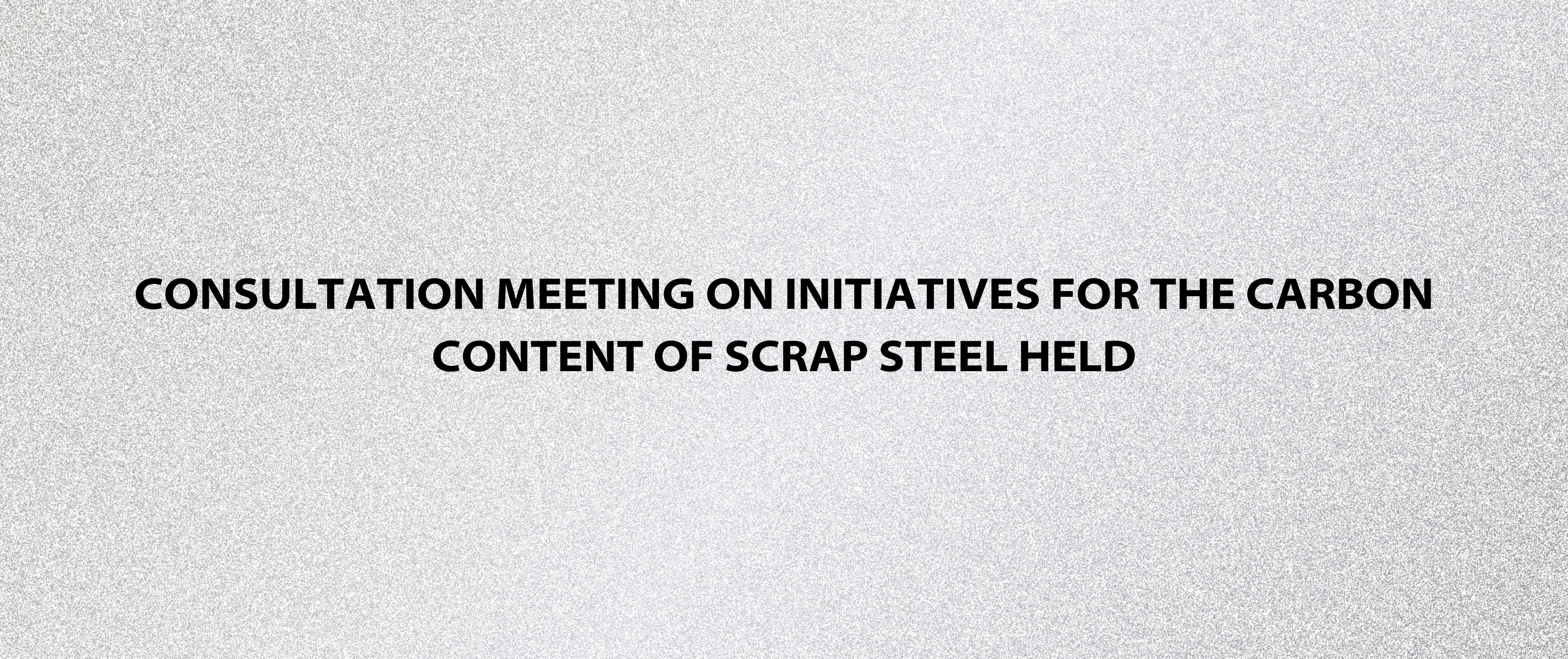 Consultation Meeting on Initiatives for the Carbon Content of Scrap Steel Held