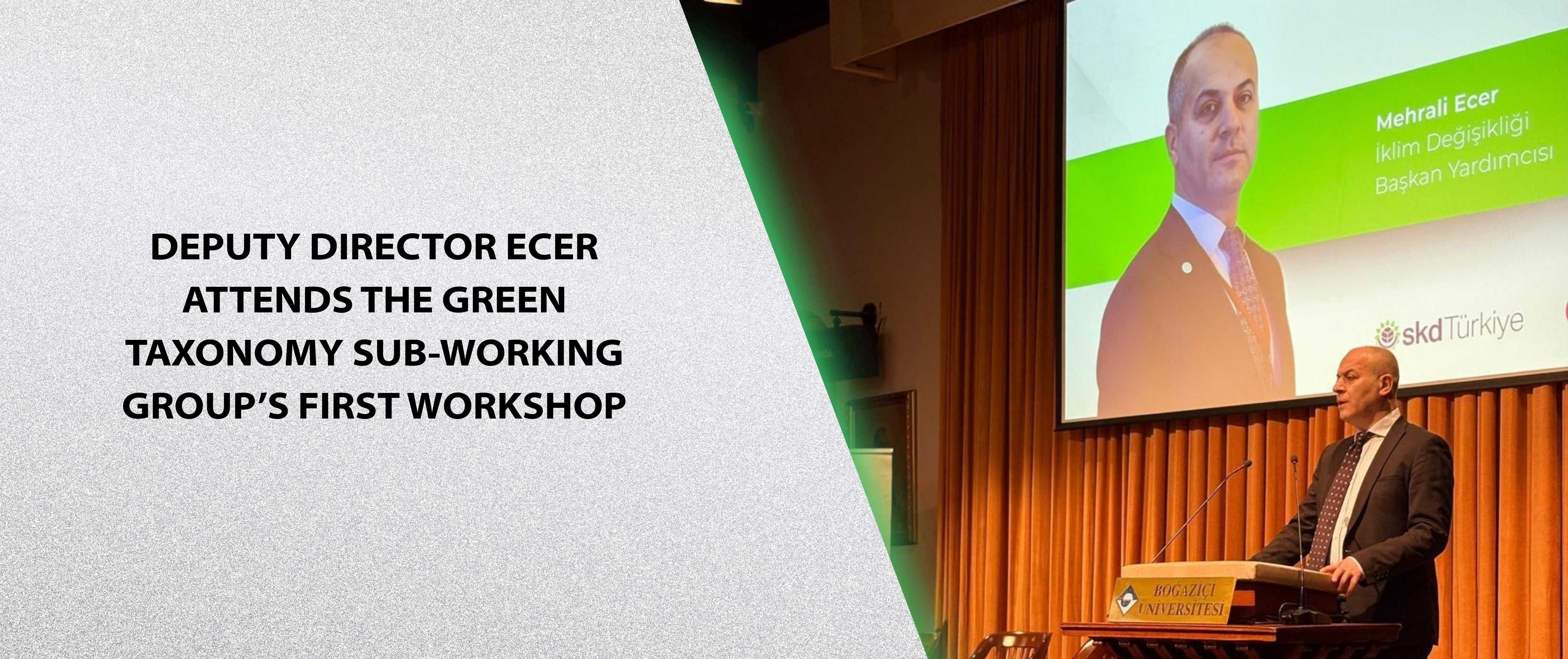 Deputy Director Ecer Attends the Green Taxonomy Sub-Working Group’s First Workshop