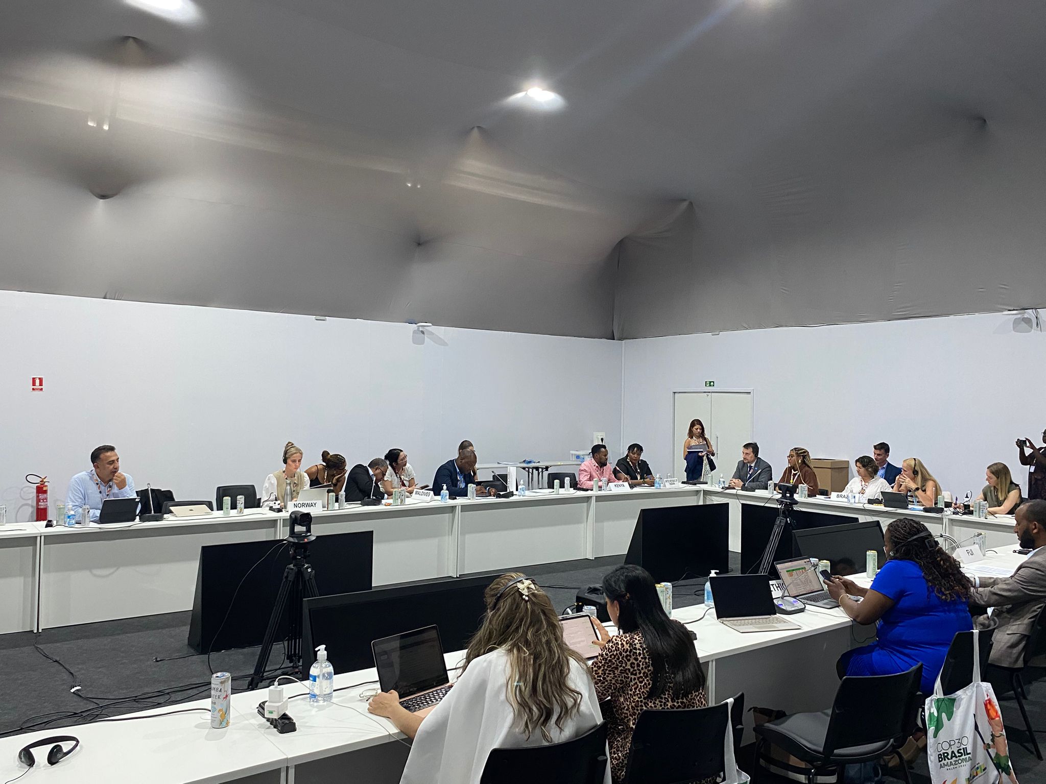 Director of Climate Change Hasar Speaks at the “Group of Friends for Children and Climate Action”