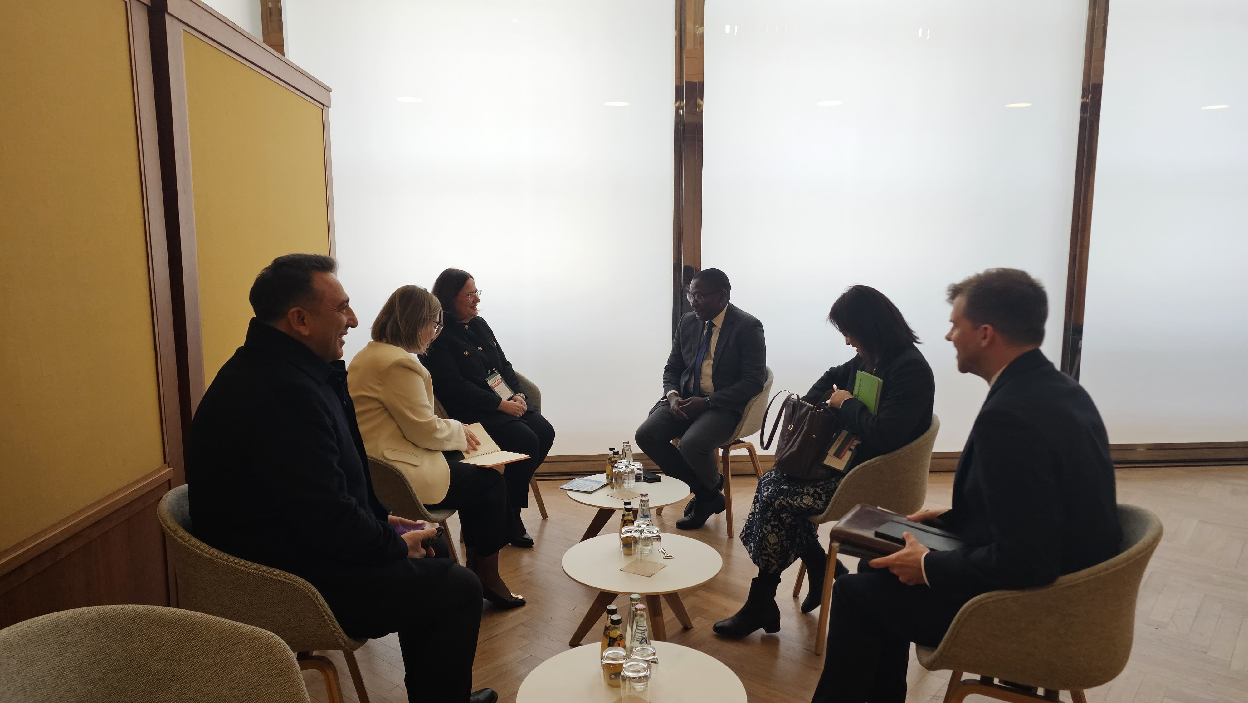 Director of Climate Change Hasar Reviews COP Processes in Berlin