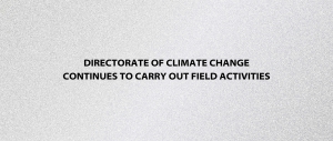 Directorate of Climate Change Continues to Carry Out Field Activities