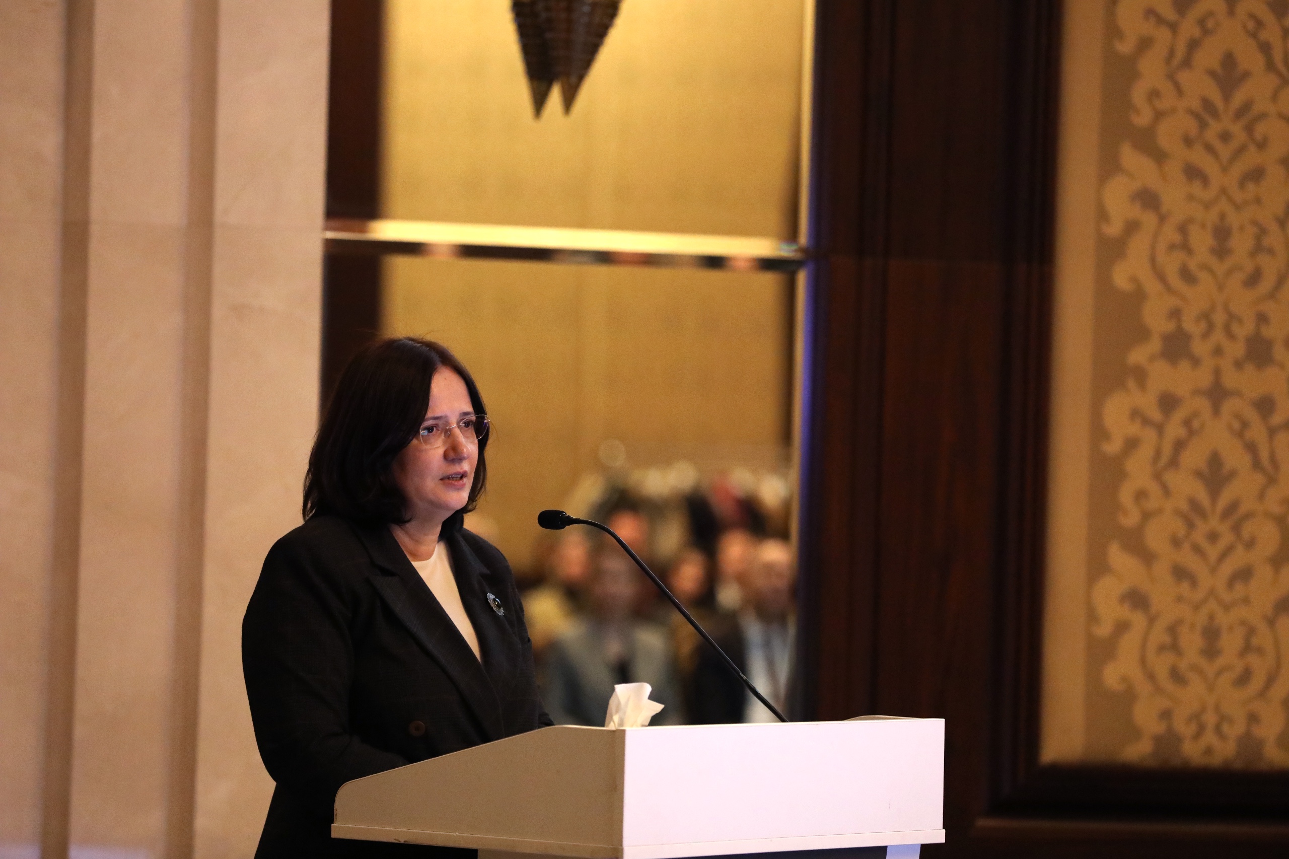 Long-Term Climate Strategy Capacity-Building Workshop Held in Ankara