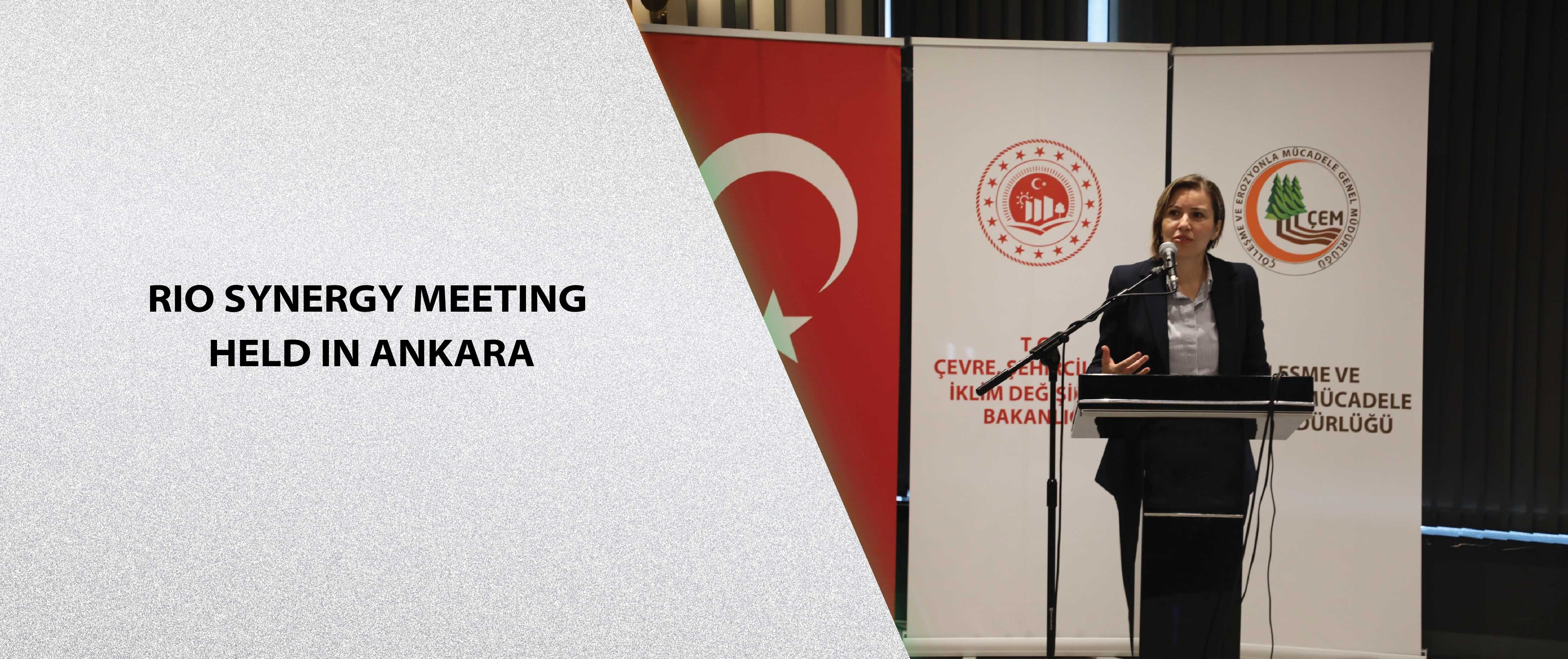 Rio Synergy Meeting Held in Ankara
