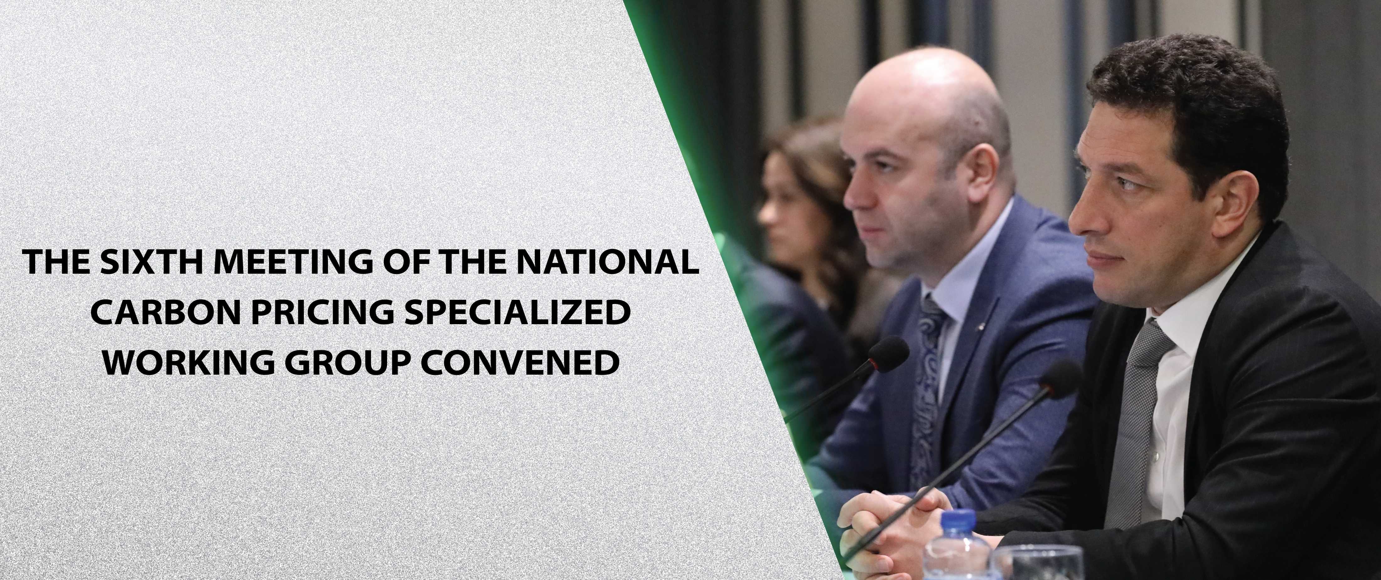 The Sixth Meeting of the National Carbon Pricing Specialized Working Group Convened
