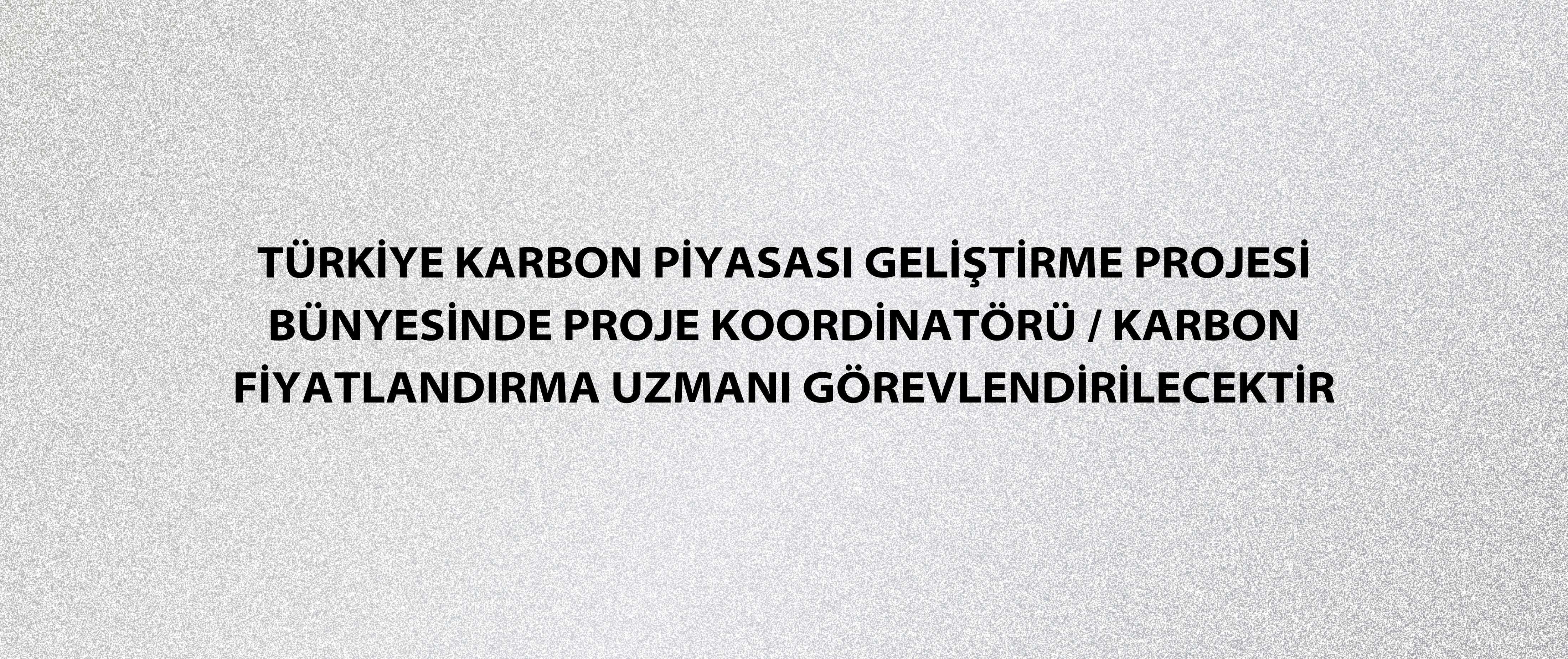 Türkiye Karbon Piyasası Geliştirme Projesi bünyesinde Proje Koordinatörü / Karbon Fiyatlandırma Uzmanı görevlendirilecektir