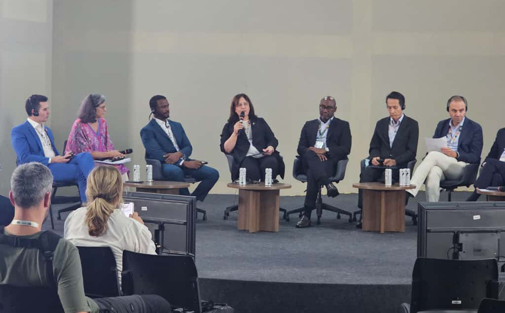 Bakan Yardımcısı Varank ‘Çok Düzeyli İklim Eylemi Bakanlar Toplantısı’na Katıldı