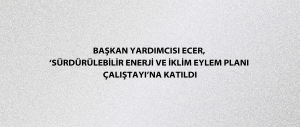Başkan Yardımcısı Ecer, ‘Sürdürülebilir Enerji ve İklim Eylem Planı Çalıştayı’na katıldı