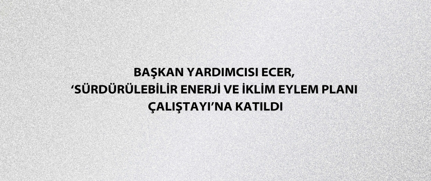 Başkan Yardımcısı Ecer, ‘Sürdürülebilir Enerji ve İklim Eylem Planı Çalıştayı’na katıldı