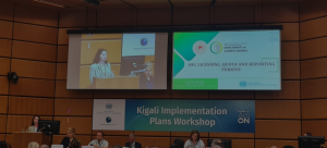 Başkanlığımız, Birleşmiş Milletler Sinai Kalkınma Teşkilatı’nın düzenlediği Kigali Uygulama Planları Çalıştayı’na katılım sağladı