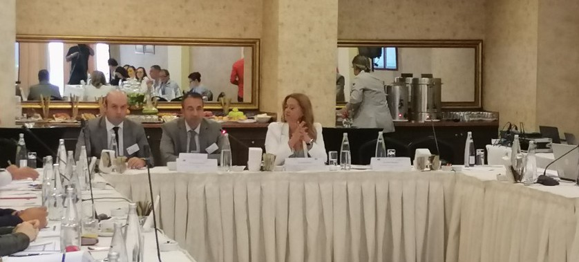 Ulusal Katkı Beyanlarında Enerji Modellemesinin Uygulanması Çalıştayı Ankara’da düzenlendi.