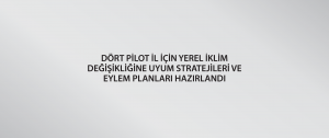 Dört pilot il için Yerel İklim Değişikliğine Uyum Stratejileri ve Eylem Planları hazırlandı