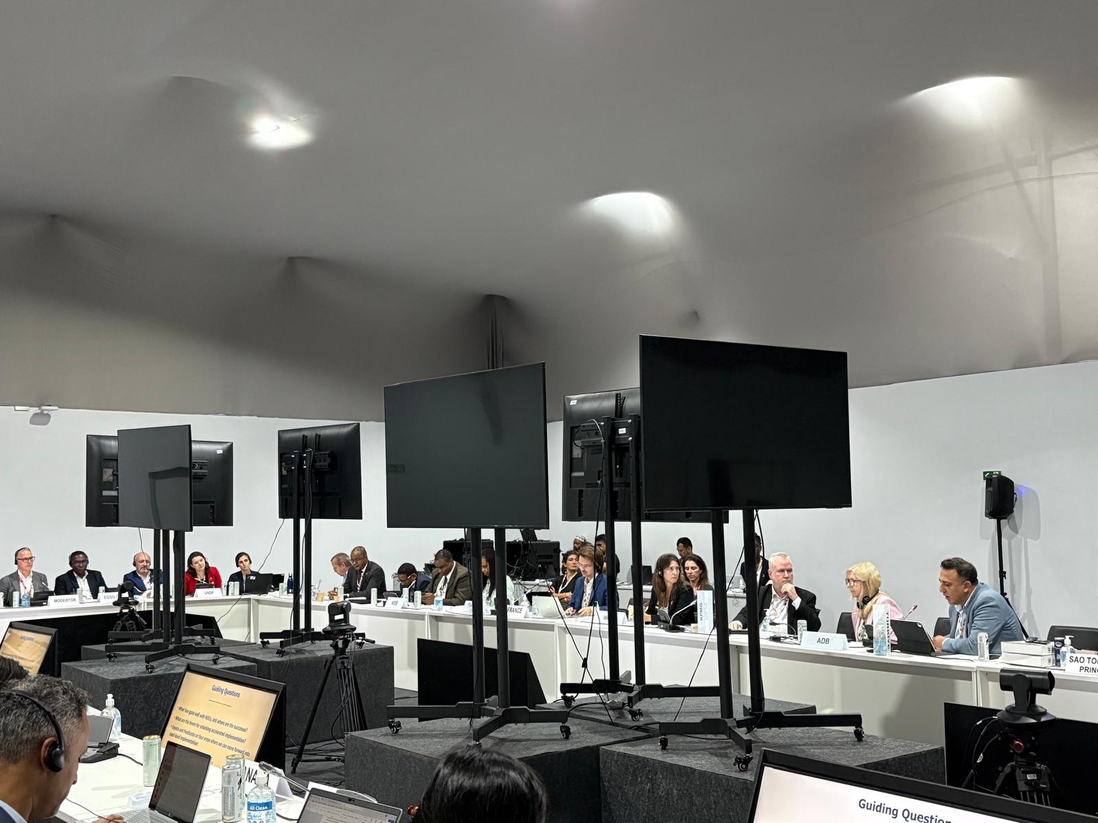 İklim Değişikliği Başkanı Hasar, BM’nin Özel Davetiyle NDC Uygulamasının Yeni Dönem Toplantısına Katıldı