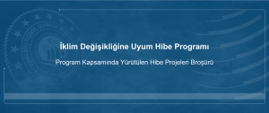 İklim Değişikliğine Uyum Hibe Programı Kapsamında Yürütülen Hibe Projelerinin Detaylı Bilgilerinin Bulunduğu Broşür