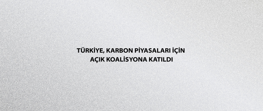 Türkiye, Karbon Piyasaları için Açık Koalisyona katıldı