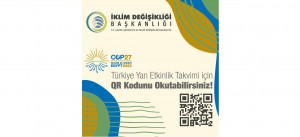 Türkiye Yan Etkinliği