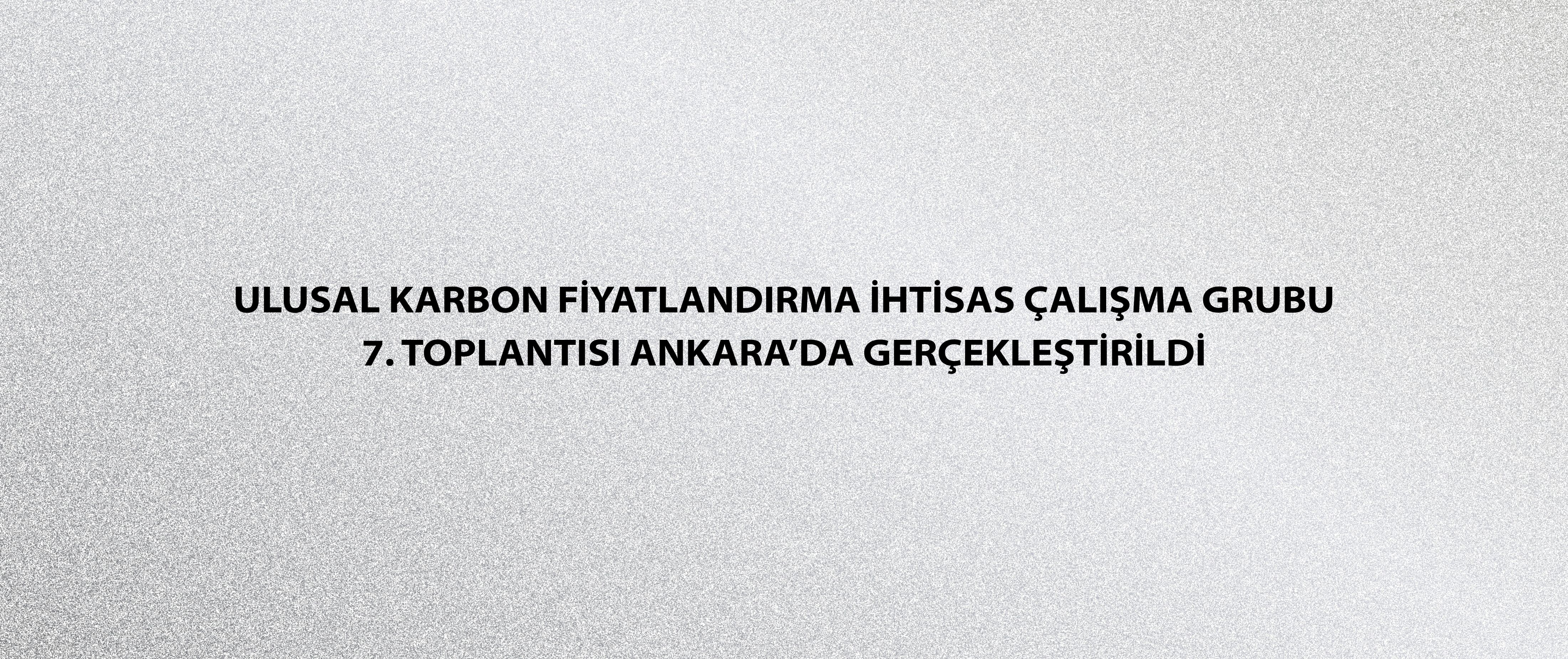 Ulusal Karbon Fiyatlandırma İhtisas Çalışma Grubu 7. Toplantısı Ankara’da Gerçekleştirildi