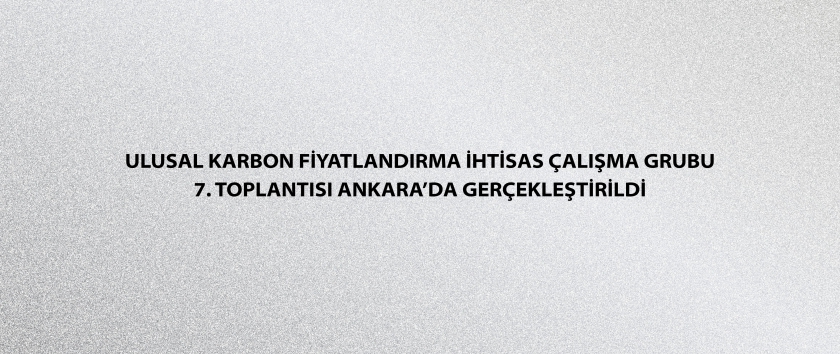 Ulusal Karbon Fiyatlandırma İhtisas Çalışma Grubu 7. Toplantısı Ankara’da Gerçekleştirildi