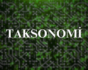 Taksonomi